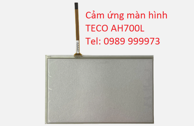 Cảm ứng TECO AH700L