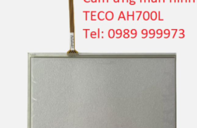 Cảm ứng TECO AH700L