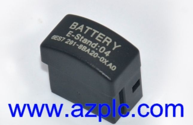 PIN PLC S7-200