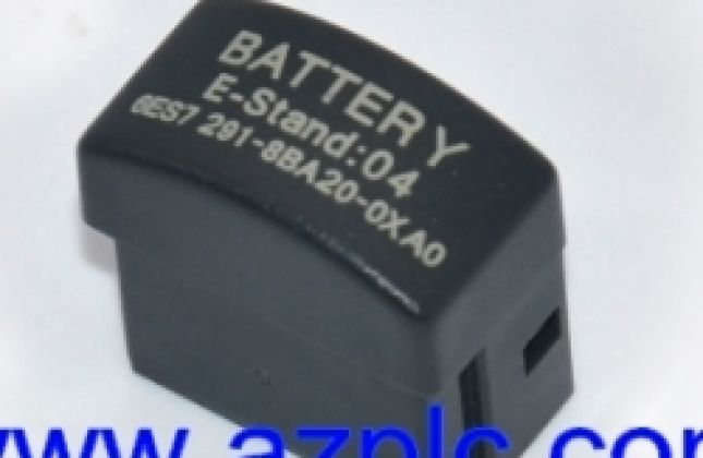 PIN PLC S7-200